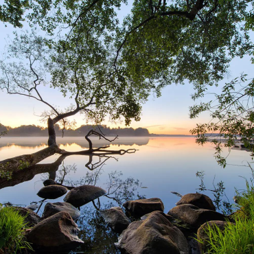 Wall Mural Photo Wallpaper Landscape
