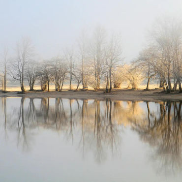 Wall Mural Photo Wallpaper January Morning