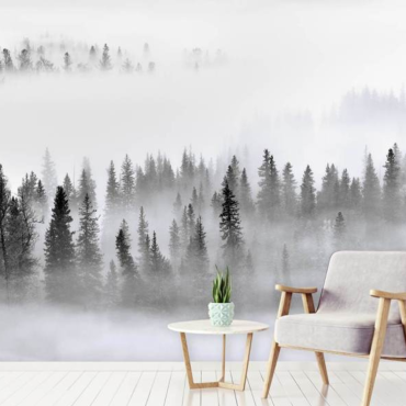 Wall Mural Photo Wallpaper Foggy Forest