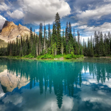Wall Mural Photo Wallpaper Emerald