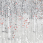 Wall Mural Photo Wallpaper Black And White
