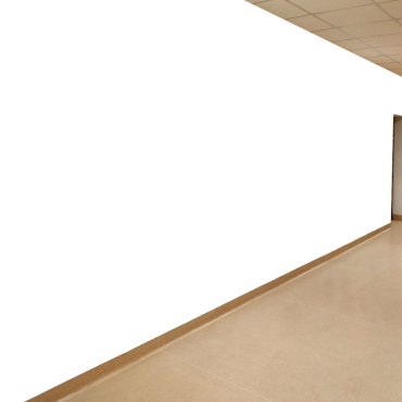 School Murals