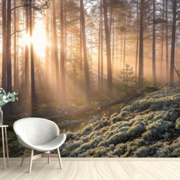 Wall Mural Photo Wallpaper Fog In The Forest With White Moss In The Foreground