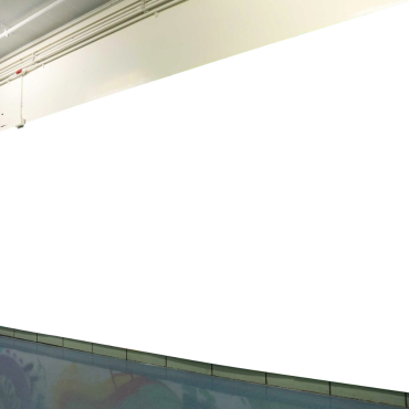 School Murals