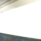 School Murals