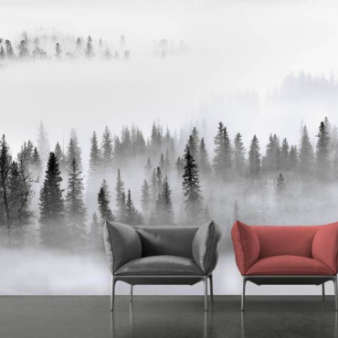 Wall Mural Photo Wallpaper Foggy Forest